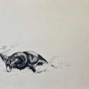 „Das Waldbuch Seite 177“ Tusche von Johannes  Breitmeier Tiermaler selten