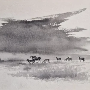 „Das Waldbuch Seite 176“ Tusche von Johannes  Breitmeier Tiermaler selten