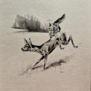 „Das Waldbuch Seite 66“ Tusche von Johannes  Breitmeier Tiermaler selten