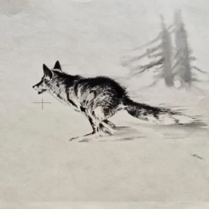 „Das Waldbuch Seite 296“ Tusche von Johannes  Breitmeier Tiermaler selten