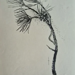 „Das Waldbuch Seite 60“ Tusche von Johannes  Breitmeier Tiermaler selten