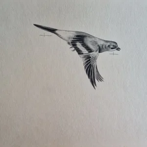 „Das Waldbuch Seite 53“ Tusche von Johannes  Breitmeier Tiermaler selten