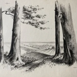 „Das Waldbuch Seite 69“ Tusche von Johannes  Breitmeier Tiermaler selten