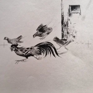 „Das Waldbuch Seite 223“ Tusche von Johannes  Breitmeier Tiermaler selten