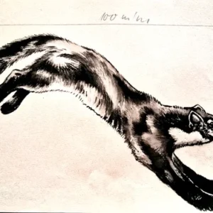 „Das Waldbuch Seite 221“ Tusche von Johannes  Breitmeier Tiermaler selten