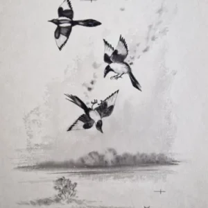 „Das Waldbuch Seite 201“ Tusche von Johannes  Breitmeier Tiermaler selten