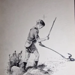 „Das Waldbuch Seite 141“ Tusche von Johannes  Breitmeier Tiermaler selten