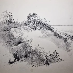 „Das Waldbuch Seite 224“ Tusche von Johannes  Breitmeier Tiermaler selten