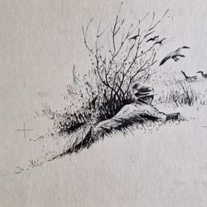 „Das Waldbuch Seite 237“ Tusche von Johannes  Breitmeier Tiermaler selten