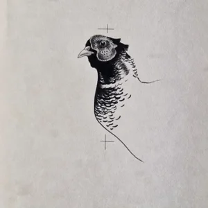 „Das Waldbuch Seite 233“ Tusche von Johannes  Breitmeier Tiermaler selten