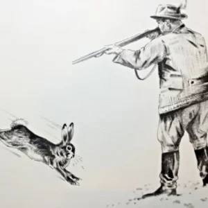 „Das Waldbuch Seite 295“ Tusche von Johannes  Breitmeier Tiermaler selten