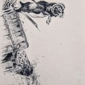 „Das Waldbuch Seite 175“ Tusche von Johannes  Breitmeier Tiermaler selten