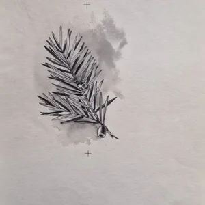 „Das Waldbuch Seite 173“ Tusche von Johannes  Breitmeier Tiermaler selten