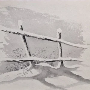 „Das Waldbuch Seite 156“ Tusche von Johannes  Breitmeier Tiermaler selten