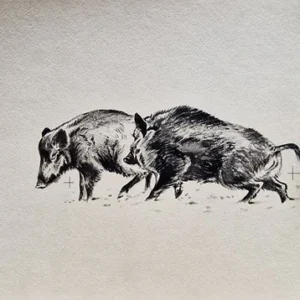 „Das Waldbuch Seite 291“ Tusche von Johannes  Breitmeier Tiermaler selten