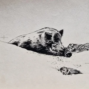 „Das Waldbuch Seite 288“ Tusche von Johannes  Breitmeier Tiermaler selten