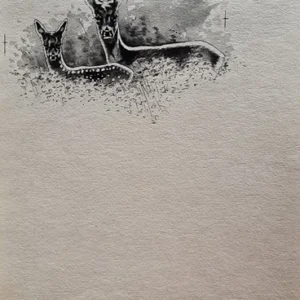 „Das Waldbuch Seite 64“ Tusche von Johannes  Breitmeier Tiermaler selten