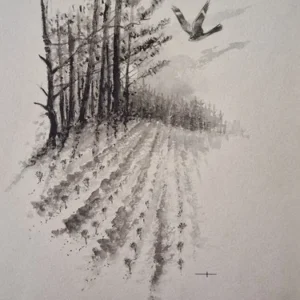 „Das Waldbuch Seite 62“ Tusche von Johannes  Breitmeier Tiermaler selten