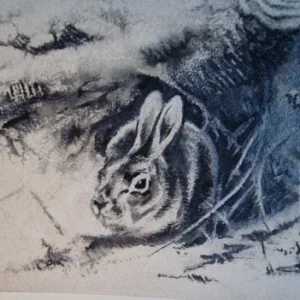 „Das Waldbuch Seite 27“ Tusche von Johannes  Breitmeier Tiermaler selten