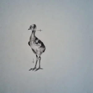 „Das Waldbuch Seite 17“ Tusche von Johannes  Breitmeier Tiermaler selten