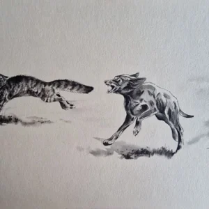 „Das Waldbuch Seite 41“ Tusche von Johannes  Breitmeier Tiermaler selten