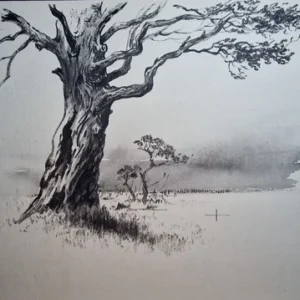 „Das Waldbuch Seite 126“ Tusche von Johannes  Breitmeier Tiermaler selten