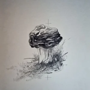 „Das Waldbuch Seite 121“ Tusche von Johannes  Breitmeier Tiermaler selten