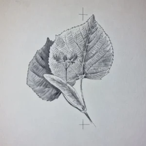 „Das Waldbuch Seite 149“ Tusche von Johannes  Breitmeier Tiermaler selten