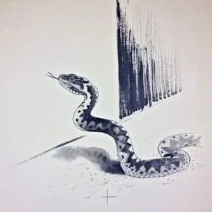 „Das Waldbuch Seite 140“ Tusche von Johannes  Breitmeier Tiermaler selten