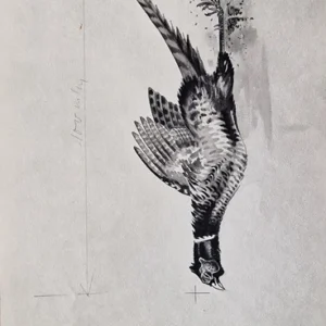 „Das Waldbuch Seite 232“ Tusche von Johannes  Breitmeier Tiermaler selten