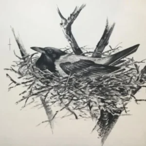 „Das Waldbuch Seite 32“ Tusche von Johannes  Breitmeier Tiermaler selten