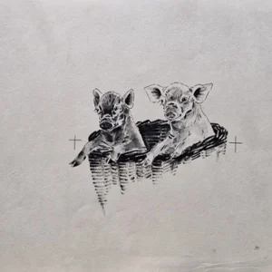 „Das Waldbuch Seite 298“ Tusche von Johannes  Breitmeier Tiermaler selten