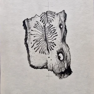 „Das Waldbuch Seite 185“ Tusche von Johannes  Breitmeier Tiermaler selten