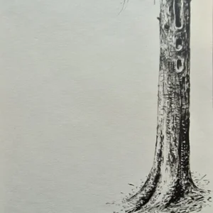 „Das Waldbuch Seite 184“ Tusche von Johannes  Breitmeier Tiermaler selten