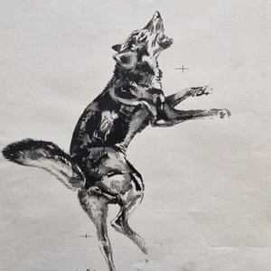 „Das Waldbuch Seite 67“ Tusche von Johannes  Breitmeier Tiermaler selten