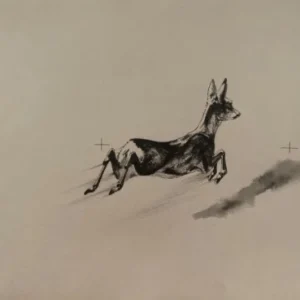 „Das Waldbuch Seite 300“ Tusche von Johannes  Breitmeier Tiermaler selten