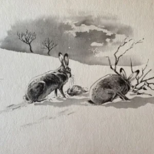 „Das Waldbuch Seite 283“ Tusche von Johannes  Breitmeier Tiermaler selten