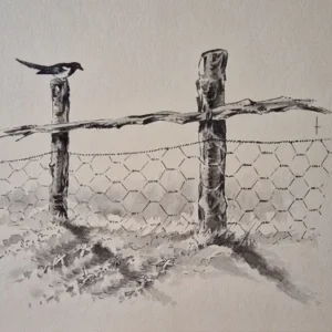 „Das Waldbuch Seite 61“ Tusche von Johannes  Breitmeier Tiermaler selten