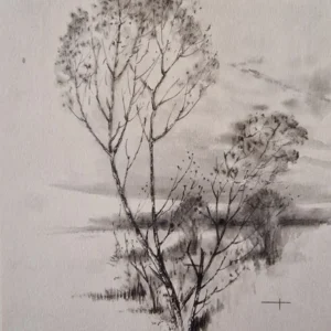 „Das Waldbuch Seite 9“ Tusche von Johannes  Breitmeier Tiermaler selten