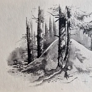 „Das Waldbuch Seite 144“ Tusche von Johannes  Breitmeier Tiermaler selten