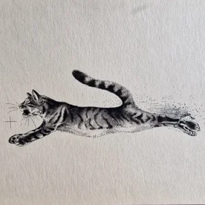 „Das Waldbuch Seite 138“ Tusche von Johannes  Breitmeier Tiermaler selten