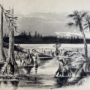 „Das Waldbuch Seite 255“ Tusche von Johannes  Breitmeier Tiermaler selten