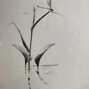 „Das Waldbuch Seite 83“ Tusche von Johannes  Breitmeier Tiermaler selten