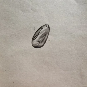 „Das Waldbuch Seite 254“ Tusche von Johannes  Breitmeier Tiermaler selten