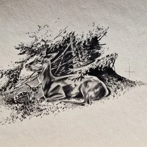 „Das Waldbuch Seite 192“ Tusche von Johannes  Breitmeier Tiermaler selten