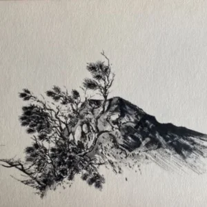 „Das Waldbuch Seite 208“ Tusche von Johannes  Breitmeier Tiermaler selten