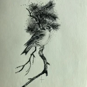 „Das Waldbuch Seite 210“ Tusche von Johannes  Breitmeier Tiermaler selten