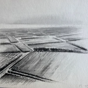 „Das Waldbuch Seite 209“ Tusche von Johannes  Breitmeier Tiermaler selten