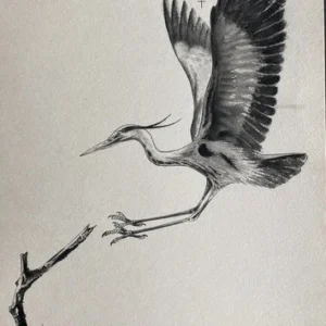 „Das Waldbuch Seite 93“ Tusche von Johannes  Breitmeier Tiermaler selten