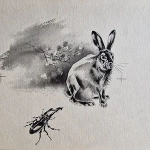 „Das Waldbuch Seite 198“ Tusche von Johannes  Breitmeier Tiermaler selten